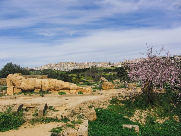 Quelles croisières proposent des visites des sites archéologiques Olympiens en Grèce?